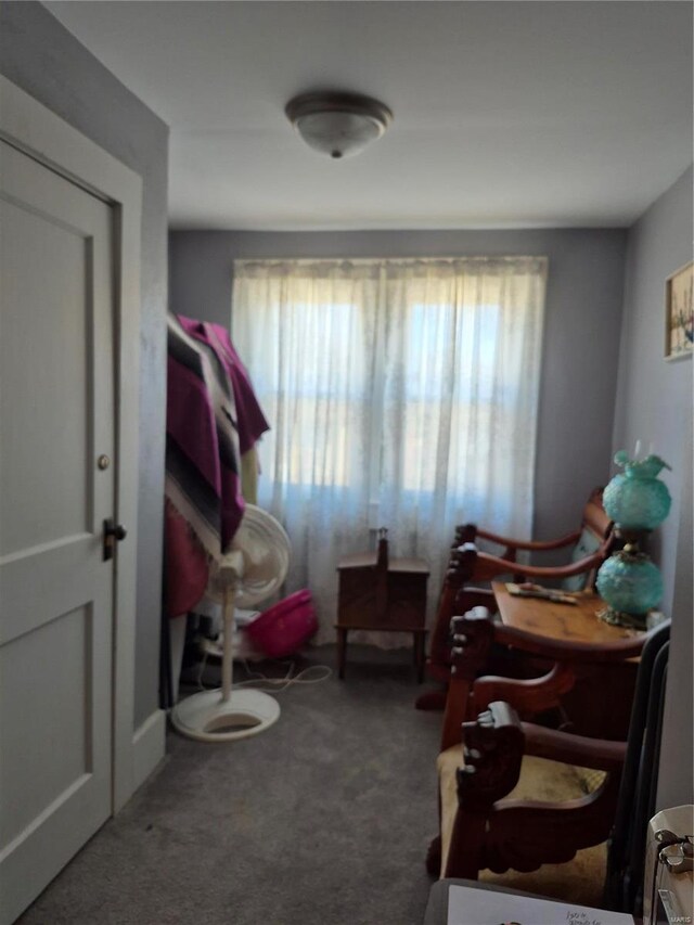 3019 Mockingbird Ln, Granite City, IL 62040 - view of carpeted bedroom