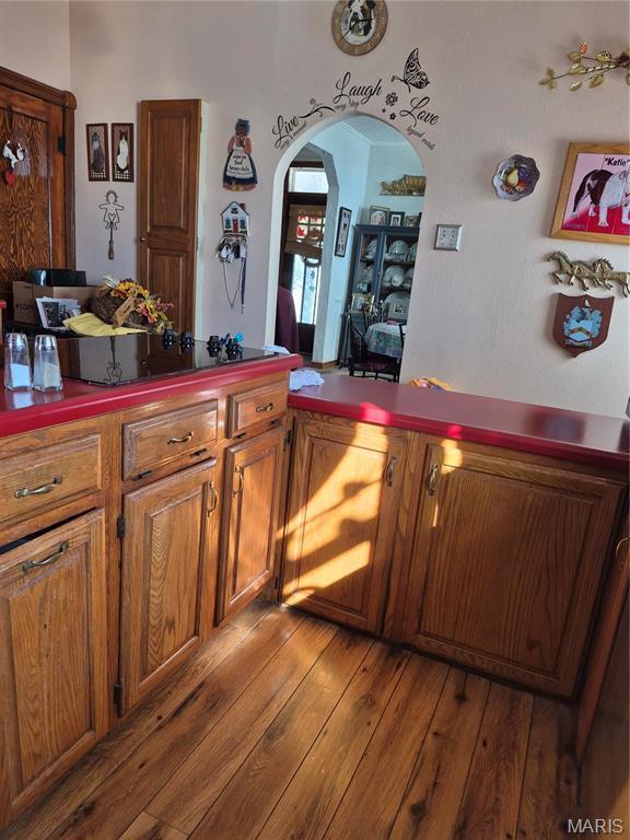 3019 Mockingbird Ln, Granite City, IL 62040 - bar area featuring arched walkways and hardwood / wood-style flooring