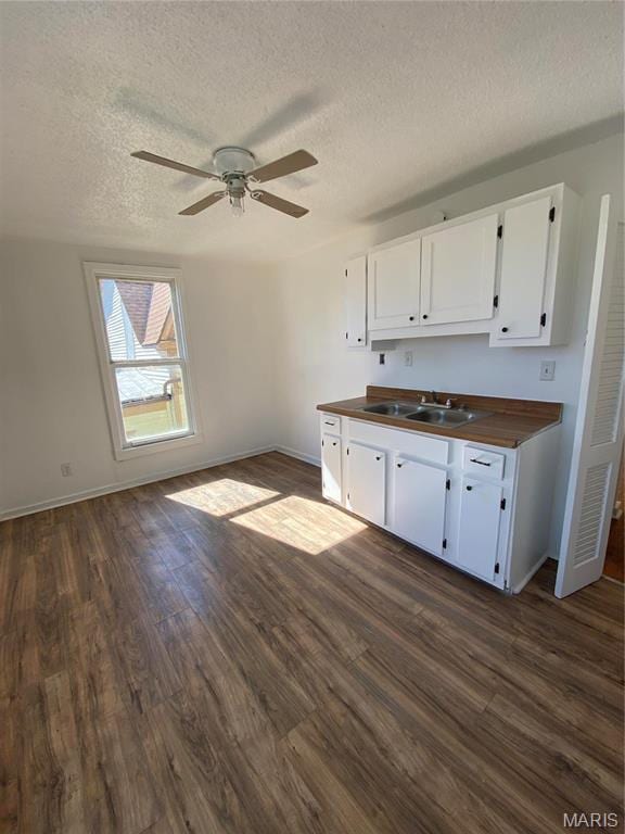 1001 Bird St, Hannibal, MO 63401 - kitchen with dark wood-type flooring, white cabinets, a textured ceiling, a ceiling fan, and open floor plan