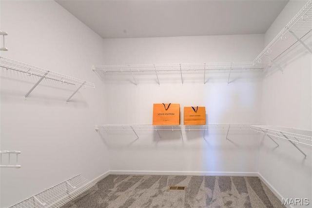 walk in closet featuring carpet floors