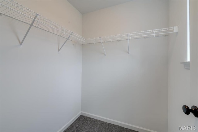 spacious closet featuring dark carpet