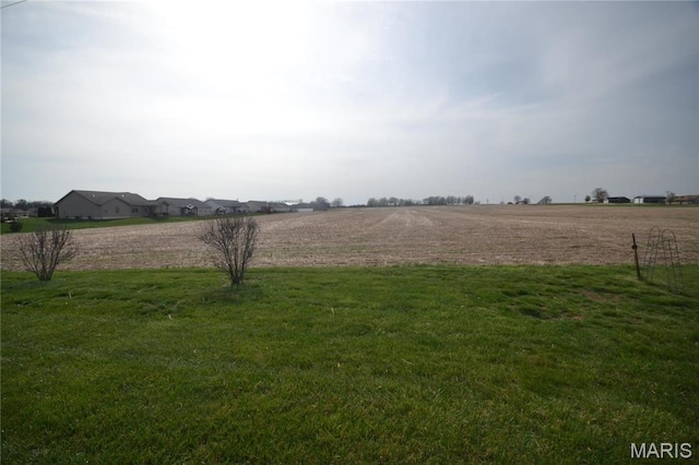 view of grassy yard