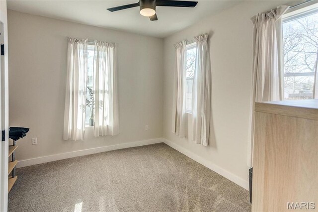 3714 Texas Ave, Saint Louis, MO 63118 - photo 15