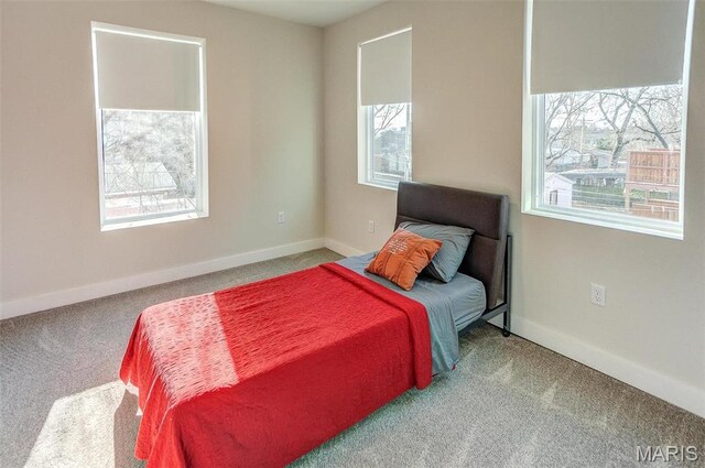 3714 Texas Ave, Saint Louis, MO 63118 - photo 25
