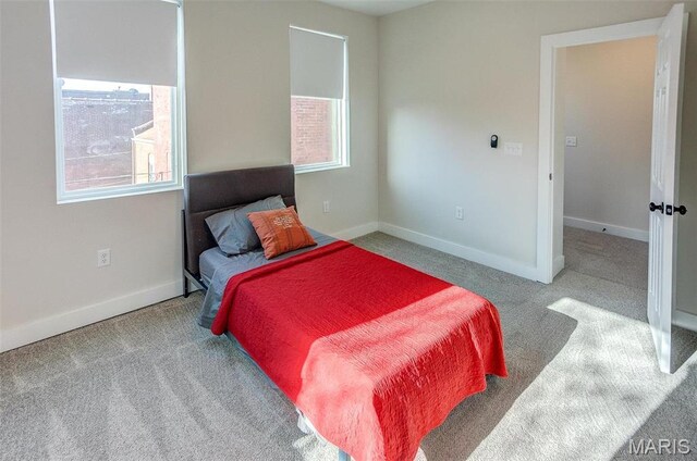 3714 Texas Ave, Saint Louis, MO 63118 - photo 26