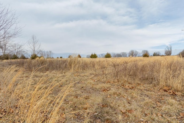 view of undeveloped land featuring rural landscape