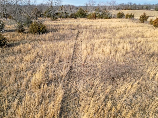 view of undeveloped land featuring rural landscape