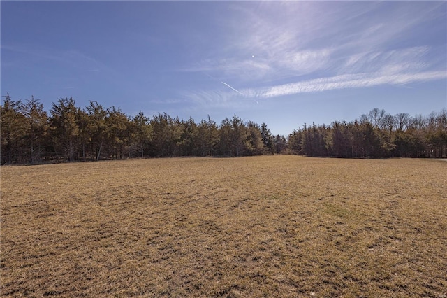 14822 Cedar Cove Pl, New London, MO 63459 - view of wooded area