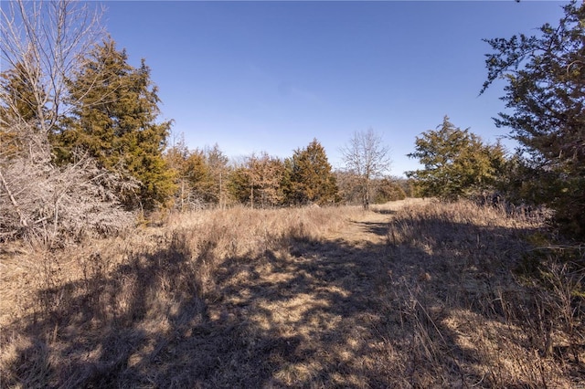 14822 Cedar Cove Pl, New London, MO 63459 - view of local wilderness