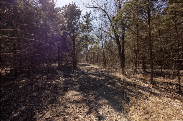 14822 Cedar Cove Pl, New London, MO 63459 - view of wooded area
