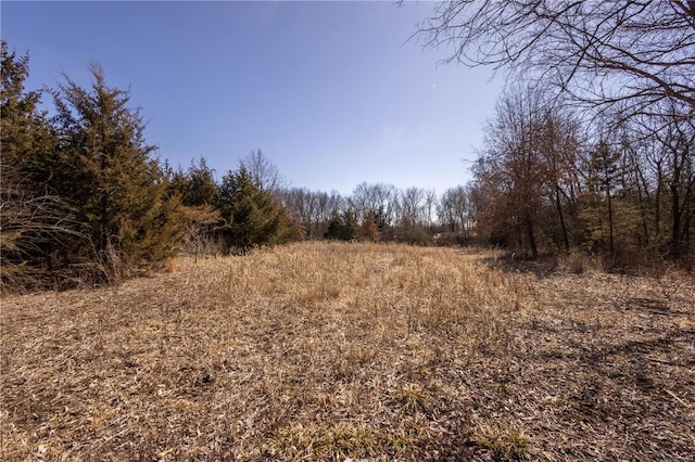 14822 Cedar Cove Pl, New London, MO 63459 - view of tree filled area