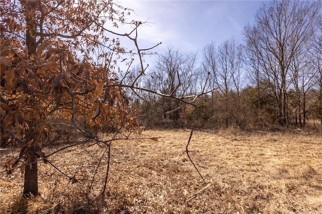14822 Cedar Cove Pl, New London, MO 63459 - view of local wilderness