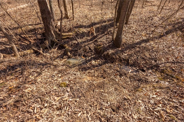 14822 Cedar Cove Pl, New London, MO 63459 - view of undeveloped land
