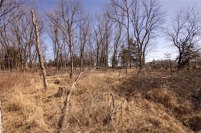 14822 Cedar Cove Pl, New London, MO 63459 - view of undeveloped land