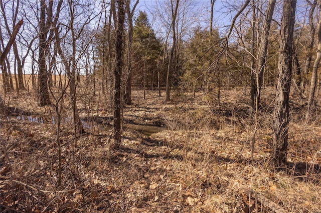 14822 Cedar Cove Pl, New London, MO 63459 - view of undeveloped land