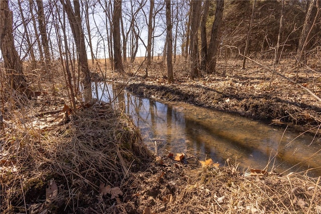 14822 Cedar Cove Pl, New London, MO 63459 - water view