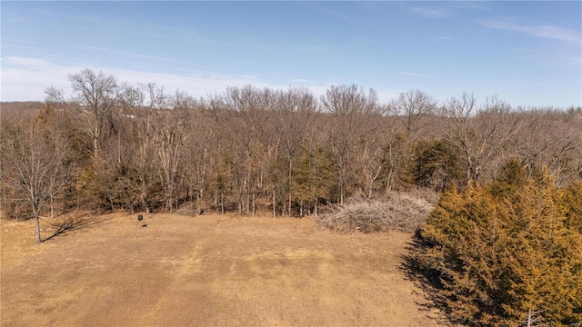 14822 Cedar Cove Pl, New London, MO 63459 - view of nature