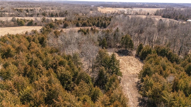 14822 Cedar Cove Pl, New London, MO 63459 - bird's eye view