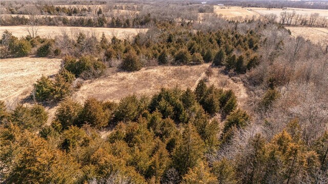 14822 Cedar Cove Pl, New London, MO 63459 - view of rural area