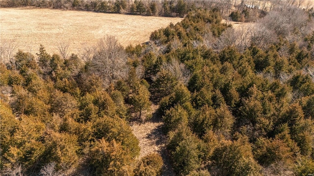 14822 Cedar Cove Pl, New London, MO 63459 - bird's eye view