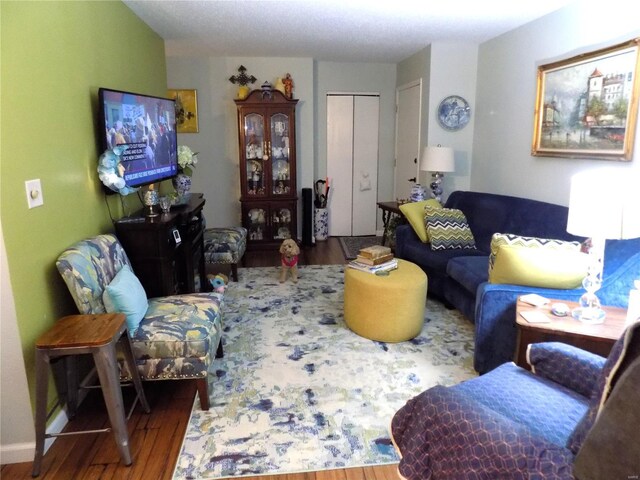 1201 Condo Dr, Rolla, MO 65401 - living area featuring wood finished floors