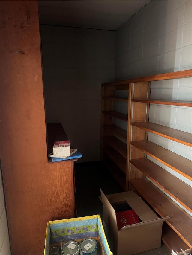 700 Charles St, Poplar Bluff, MO 63901 - view of storage area