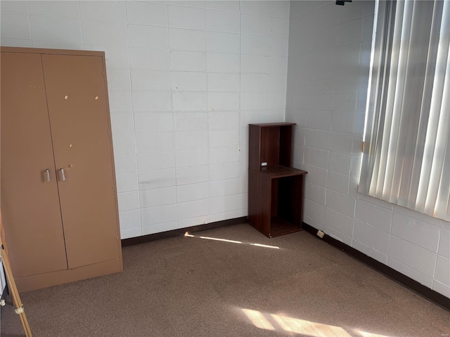 700 Charles St, Poplar Bluff, MO 63901 - unfurnished bedroom with carpet