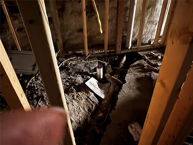 4369 Evans Ave, Saint Louis, MO 63113 - view of attic