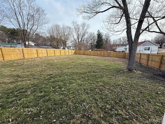 1400 S Jackson St, Salem, MO 65560 - view of yard