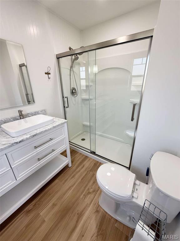1400 S Jackson St, Salem, MO 65560 - bathroom featuring wood finished floors, toilet, a shower stall, and vanity