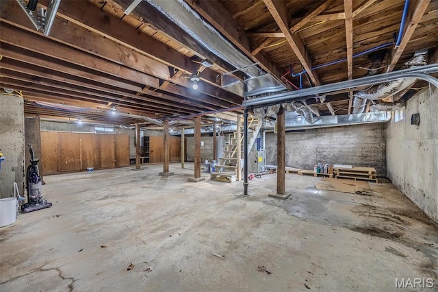 1400 S Jackson St, Salem, MO 65560 - view of below grade area