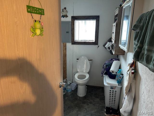477 W Lakeview Dr, Ironton, MO 63650 - bathroom with electric panel and toilet