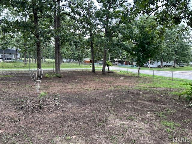 477 W Lakeview Dr, Ironton, MO 63650 - view of yard
