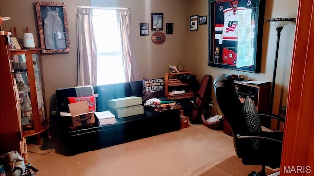 2630 Melody Ln, Cuba, MO 65453 - office space featuring carpet floors