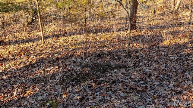 2630 Melody Ln, Cuba, MO 65453 - view of undeveloped land