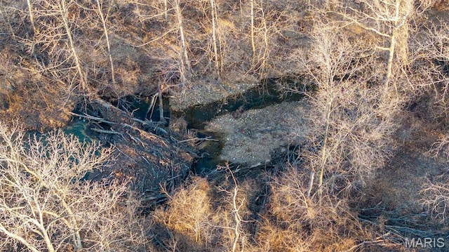 2630 Melody Ln, Cuba, MO 65453 - view of local wilderness