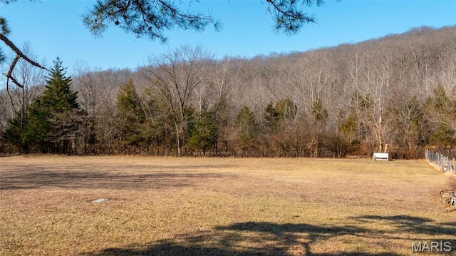409 County Road 32b, Ironton, MO 63650 - view of green lawn with a wooded view