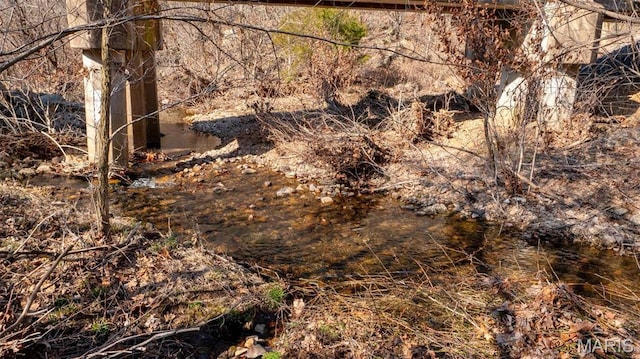 409 County Road 32b, Ironton, MO 63650 - view of undeveloped land