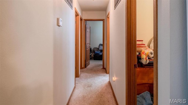 409 County Road 32b, Ironton, MO 63650 - corridor with light colored carpet