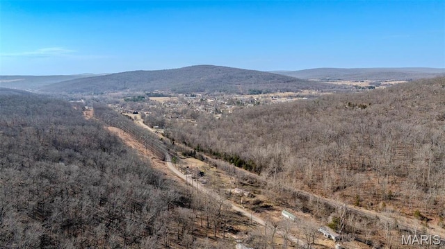 409 County Road 32b, Ironton, MO 63650 - view of mountain backdrop