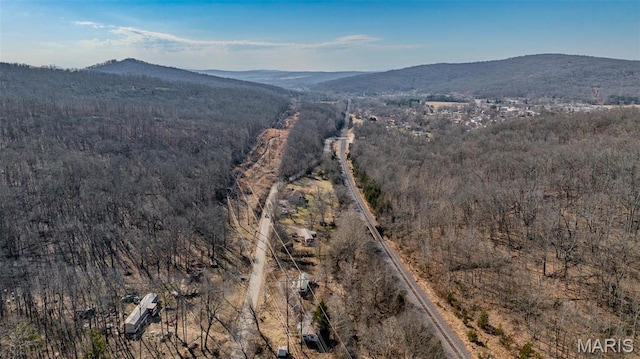 409 County Road 32b, Ironton, MO 63650 - photo 26