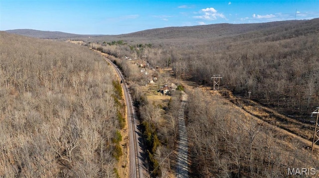 409 County Road 32b, Ironton, MO 63650 - photo 27