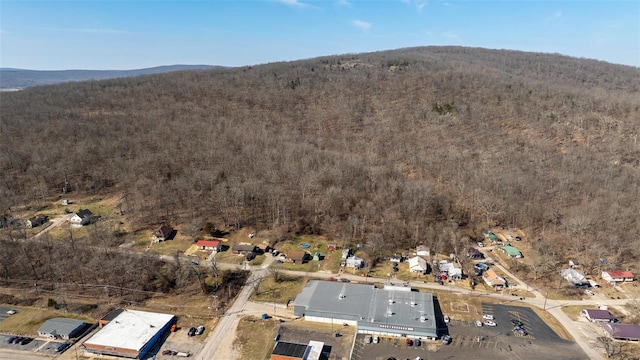 528 N Shepherd St, Ironton, MO 63650 - aerial view of property and surrounding area with a forest and a mountainous background