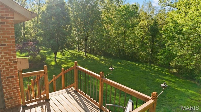 1845 Riviera Ln, Ofallon, IL 62269 - photo 43