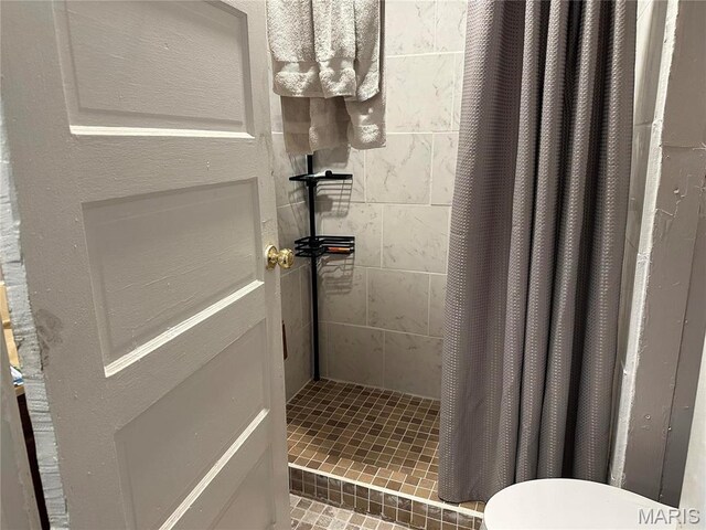 507 N Knob St, Ironton, MO 63650 - full bathroom featuring a tile shower