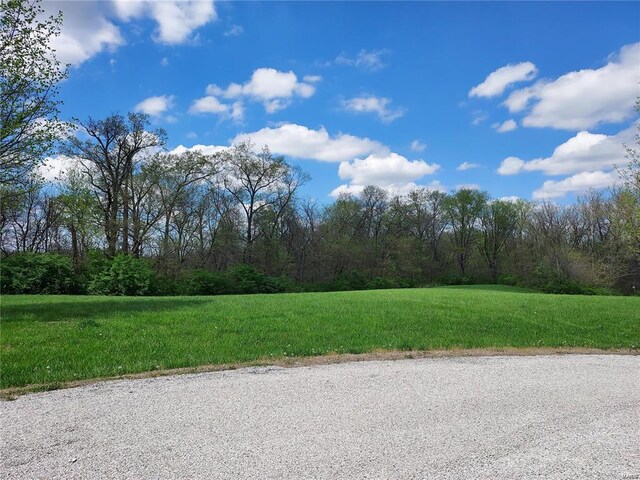 751 Lienzengen Rd, Greenville, IL 62246 - photo 2
