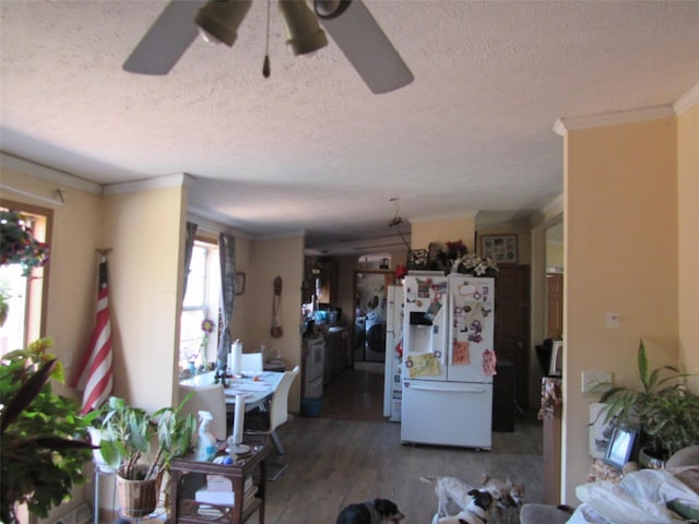 living area featuring wood finished floors, crown molding, a textured ceiling, and ceiling fan