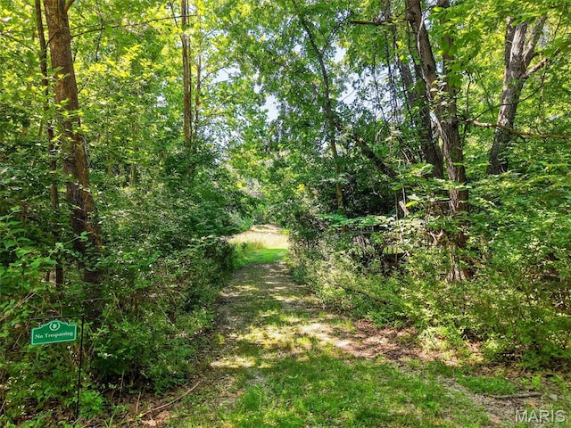 1108 Lake Charrette Dr, Innsbrook, MO 63390