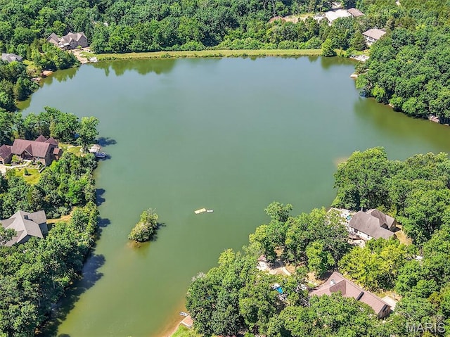 1108 Lake Charrette Dr, Innsbrook, MO 63390