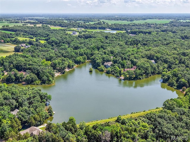 1108 Lake Charrette Dr, Innsbrook, MO 63390